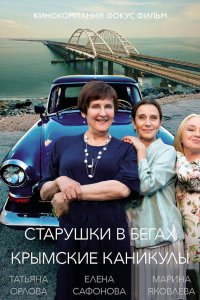 Старушки в бегах 3 - постер